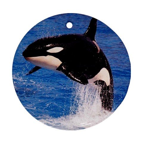 Orca Killer Whale Ornament (Round)