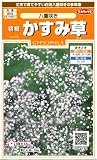 Ȭ�ź餭�ɺ���������1�ޡ���80γ��