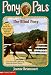 The Blind Pony (Pony Pals No. 15)