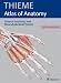 General Anatomy and Musculoskeletal System - Latin Nomenclature (THIEME Atlas of Anatomy) (Thieme Atlas of Anatomy)