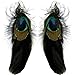 3 Feather Earrings (Includes One Peacock Eye) In