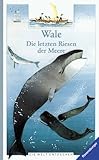 Wale. Die letzten Riesen der Meere. Die Welt entdecken. ( Ab 8 J.)-