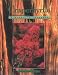 Crapemyrtle, A Grower's Thoughts