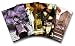 Lain Complete Collection 4 Pak (Amazon.com Exclusive)