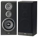 Pioneer CS-3070 S Lautsprecher-Paar schwarz