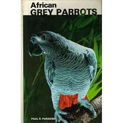 African Grey Parrots