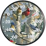 Songbirds Thermometer