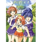 君が望む永遠 VISUAL COMPLETE