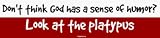 Don't think God has a sense of humor? Look at the platypus Bumper Sticker