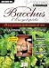 Bacchus Bacchus