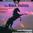 Black Stallion