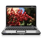 HP Pavilion DV2410US 14-inch Laptop (AMD Turion 64 Processor TL56, 1 GB RAM, 160 GB Hard Drive, Vista Premium)