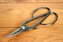 200mm General Purpose Bonsai Tree Scissors