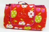 Picnicware & Outdoor Dining Online Shop Ranking 23. Luxury Picnic Blanket with waterproof backing. Fruit