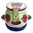Buzzy Porcelain Strawberry Grow Kit