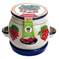 Buzzy Porcelain Strawberry Grow Kit