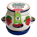 Buzzy Porcelain Strawberry Grow Kit