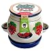 Buzzy Porcelain Strawberry Grow Kit