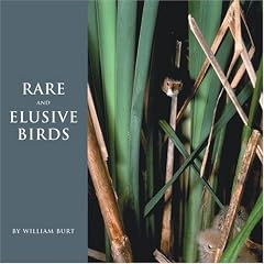 Rare and Elusive Birds