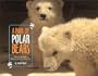 A Pair of Polar Bears: Twin Cubs Find a Home at the San Diego Zoo