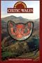 A Pocket Guide: Celtic Wales (University of Wales - Pocket Guide)