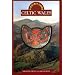 Celtic Wales (Pocket Guides)