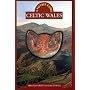 Celtic Wales (Pocket Guides)