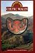Celtic Wales (Pocket Guides)