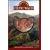 Celtic Wales (Pocket Guides)