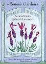 Spanish Lavender Seeds