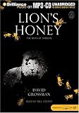 Lion's Honey