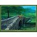 Search : Fishing with Friends 1000 pc Disney Fine Art