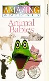 Review Dorling Kindersley Vision Ltd.  / Amazing Animals - Animal Babies