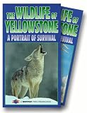 Wildlife of Yellowstone [VHS]