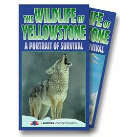 Wildlife of Yellowstone [VHS]
