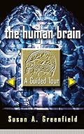 The Human Brain: A Guided Tour (Science Masters Series)