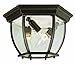 Trans Globe Lighting 4906 WH Outdoor Angelus 6.5" Flushmount Lantern, White