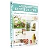 Aquarelle la voie de l'eau