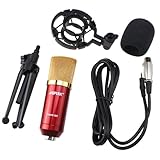 AGPtek Red Condenser Sound Studio Recording Microphone Mic Dynamic +Shock Mount New AGPtek Red Condenser Sound Studio Recording Microphone Mic Dynamic +Shock Mount New