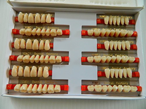 Halloween Horror Prop - 3 sets of Dental Quality Resin Teeth for Prop Building!
