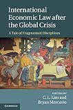 International economic law after the global crisis : a tale of fragmented disciplines