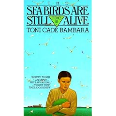The Sea Birds Are Still Alive