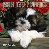 Shih Tzu Puppies 2005 Mini Wall Calendar image