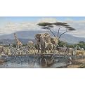 Big Safari Wall Mural