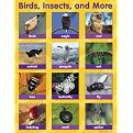 Educational Insights ReMARKable Smart Talk Charts - Animals and People