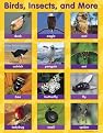 Educational Insights ReMARKable Smart Talk Charts - Animals and People