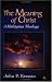 Meaning of Christ: A Mahayana Theology (Faith Meets Faith)