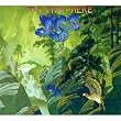 Fly From Here (CD/DVD)