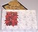 Gourmet Food : Scott's Cakes 1/2 1b Macadamia Nut Brittle in a Poinsettia Box