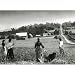 Search : Summer in the Country 500pc Jigsaw Puzzle